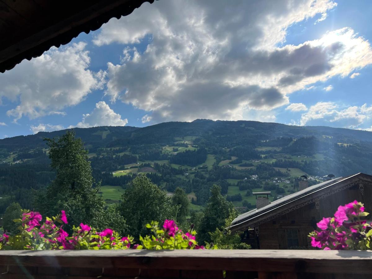 Gamsbock Panorama View Balkon, Gartensauna, Garten, Grillplatz